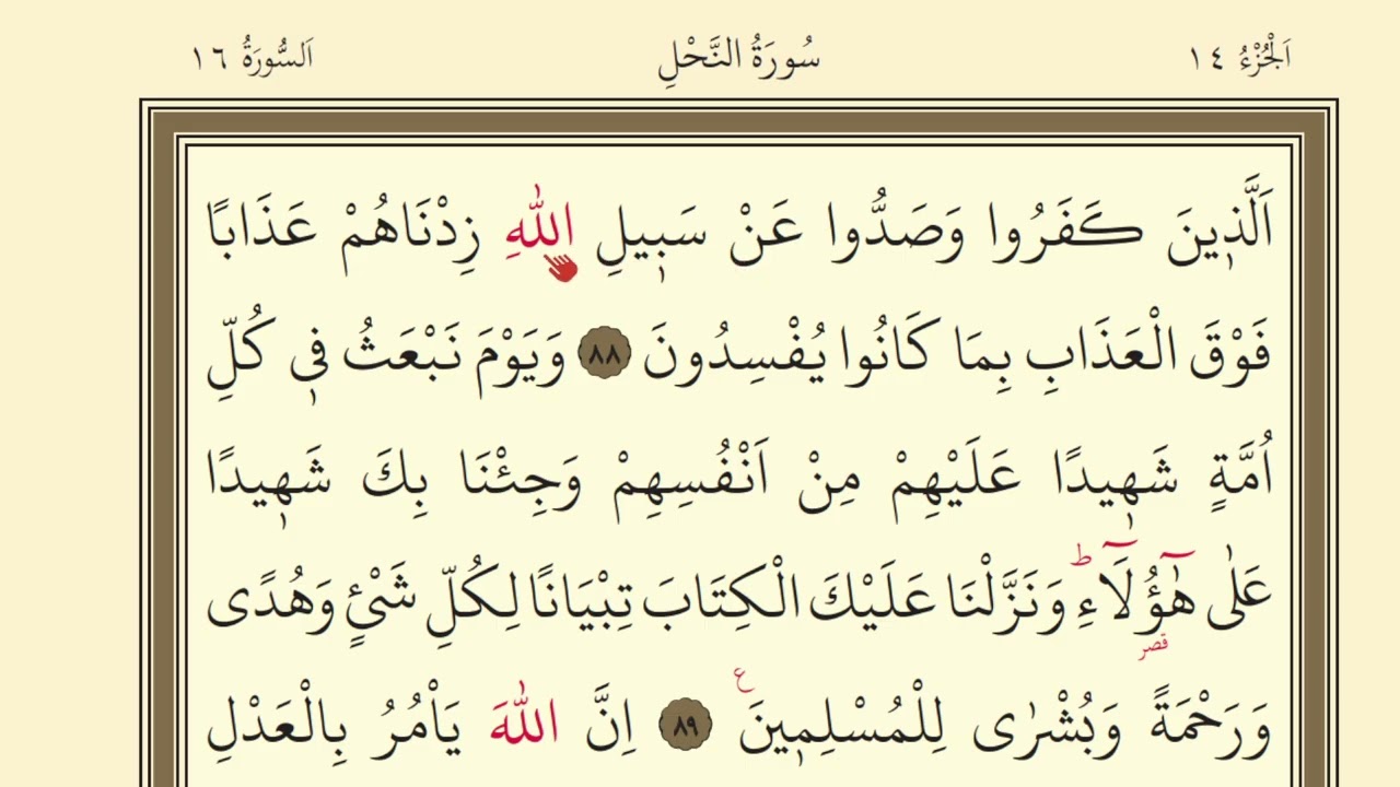 276.DERS KURAN SAYFA 276 SURAH NAHL 88-93 | KURAN DERSLERİ | QURAN LESSONS