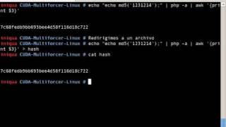 Cracking MD5 con CUDA