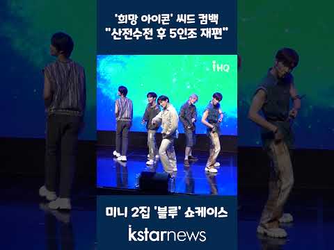 &amp;#39;희망 아이콘&amp;#39; 씨드 컴백, &amp;quot;산전수전 후 5인조 재편&amp;quot;