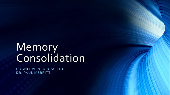 Memory Consolidation