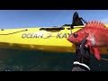 Kayak spearfishing northern california