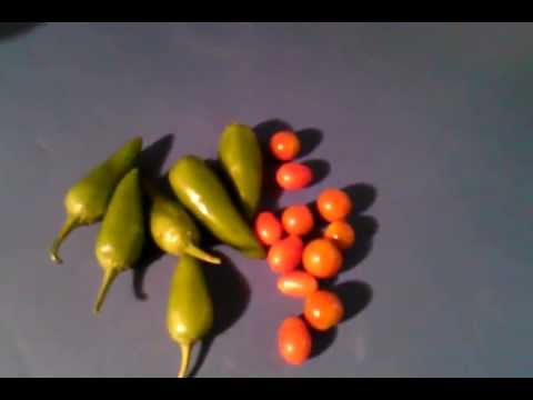 How to: MAKE HOT PEPPERS HOTTER! boooom