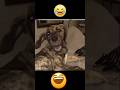 A PATA VIROU INIMIGA 😡🐶🤣