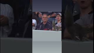 Yankees Squirrel With Vesti La Giubba Overlay