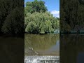 river