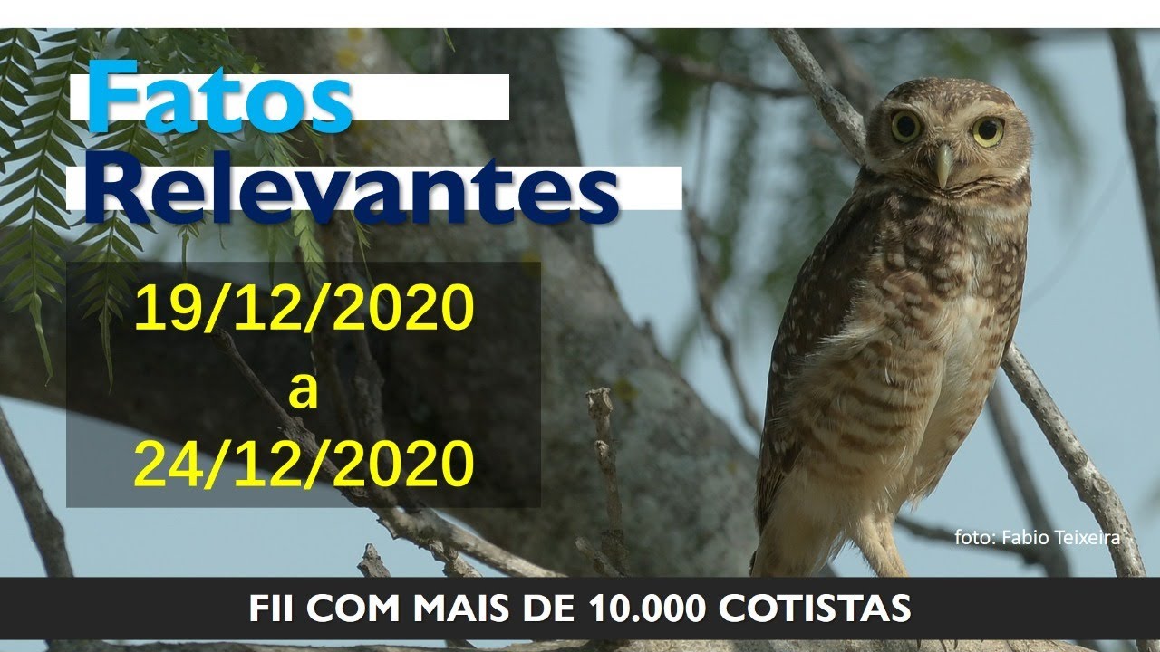 Fatos Relevantes - 19/12 a 24/12