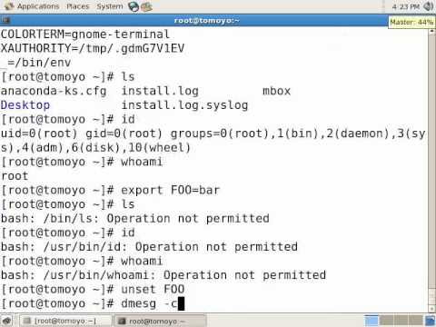 TOMOYO Linux features: access control based on environment variables
