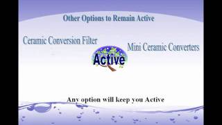 Dream Tree Family Complete Dual Line Training Video 2