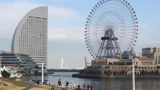 Journey to Tokyo: Nara, Hamamatsu, and Yokohama by Travel and Root Beer 217 views 8 years ago 18 minutes