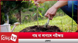 গাছ না লাগালে পরীক্ষায় ফেল! Bijoy TV