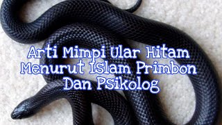 Download lagu Arti Mimpi Ular Hitam Menurut Islam Primbon Dan Psikolog Mp3 Video Mp4