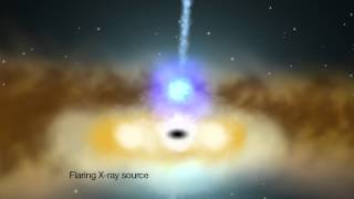 X-ray Echoes Probe Habitat of Monster Black Hole