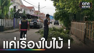 ปัญหาเพื่อนบ้าน! แค่เตือนกวาดใบไม้ ฉุนด่าลั่นซอย | ข่าวเย็นช่องวัน | สำนักข่าววันนิวส์