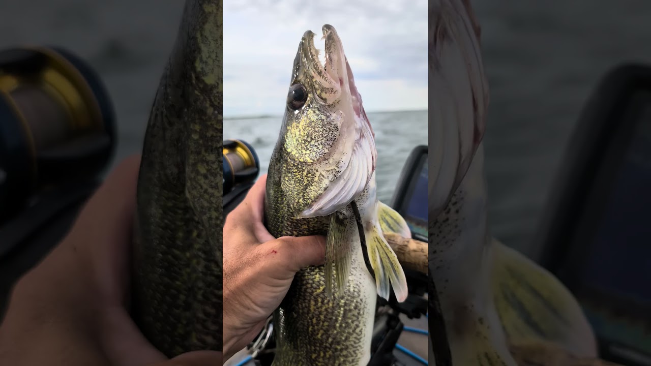 Walleye Potholes Reservoir