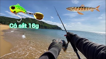Câu lure bờ biển bằng cá sắt, bãi biển Lộ Diêu, beach fishing lures