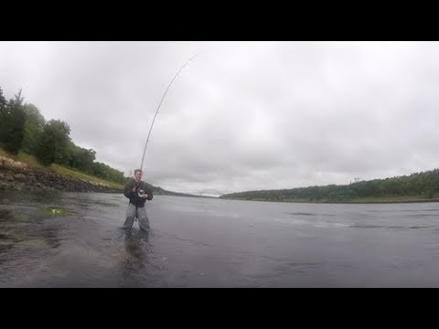 Rainy Day on the Cape Cod Canal (ft. Get Tight Fishing) 