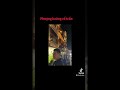 Phượng hoàng cổ trấn #travel #viral #vlog #love #china #fyp #trungquoc