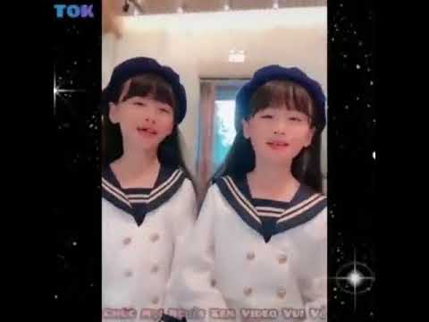 التوأم الكوري 