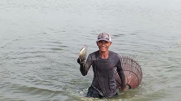 Hành Trình Trải Nghiệm Đẩy Côn Bắt Cá Mùa Nước Nổi Bắt Cá Mỏi Tay Luôn. Catch Big Fish # Tập 2