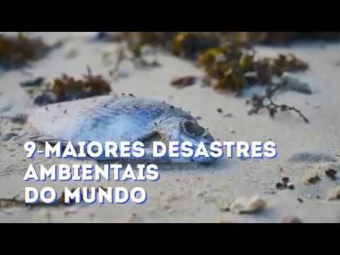 Vídeo: Três Histórias Do Radar: Brasil, Madagascar E Alguns Desastres Ecológicos Feios - Rede Matador