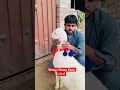 گمنام #viral #youtubeshorts #trending #unfrezzmyaccount #bakramandi