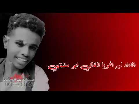 ضيف الله عبدالله اللحوي 