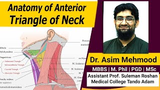 Anatomy of Anterior Triangle of Neck | Hindi / Urdu