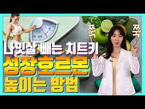 비만 전문 의사가 알려주는 나잇살 빼는 효과 만점 방법 – 세모다 #18