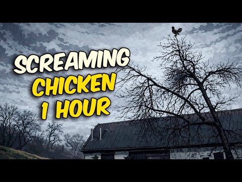 Screaming Chicken On Tree 1 Hour 