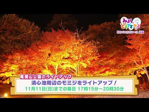 秋のくつろぎコース 尾関山公園 みよし どうですか ２５ Youtube