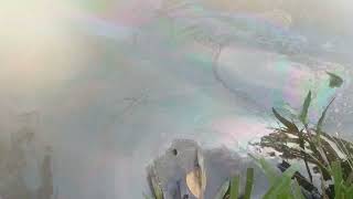 BS25110188 SF13003 Wave & Optics MINI PROJECT Thin-Film interferences at FSSA Lake (different angle)