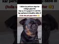 Perfume vs Fart_#memes #funny #instareels