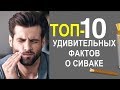 ТОП 10 УДИВИТЕЛЬНЫХ ФАКТОВ О СИВАКЕ КОТОРЫХ ВЫ НЕ ЗНАЛИ!