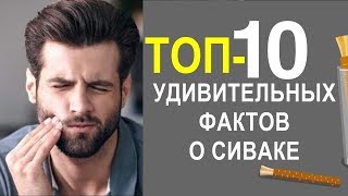 ТОП 10 УДИВИТЕЛЬНЫХ ФАКТОВ О СИВАКЕ КОТОРЫХ ВЫ НЕ ЗНАЛИ!