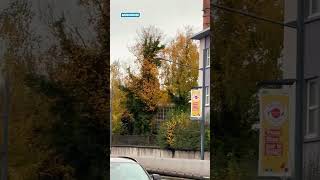 Mulhouse, avenue François Mitterrand #mulhouse #france #france🇫🇷 #coeurdefou #alsace #mulhousien