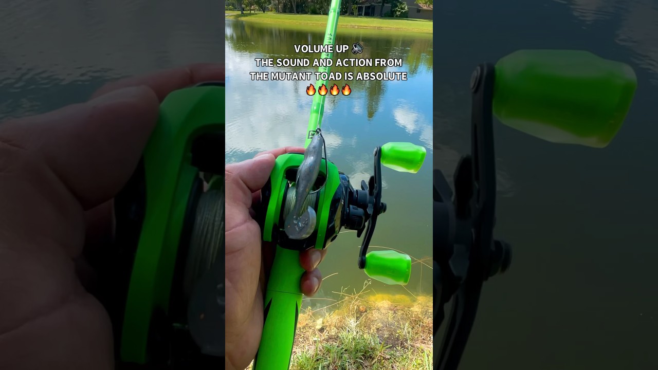 That Mutant Toad😮‍💨🥵🔥urbanfloridafishing.com 