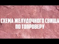 Схема желудочного свища по Топроверу