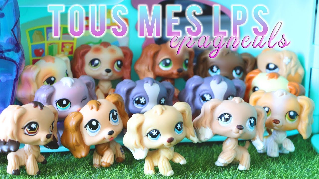 Petshop authentique chien epagneul - Jeux & Jouets