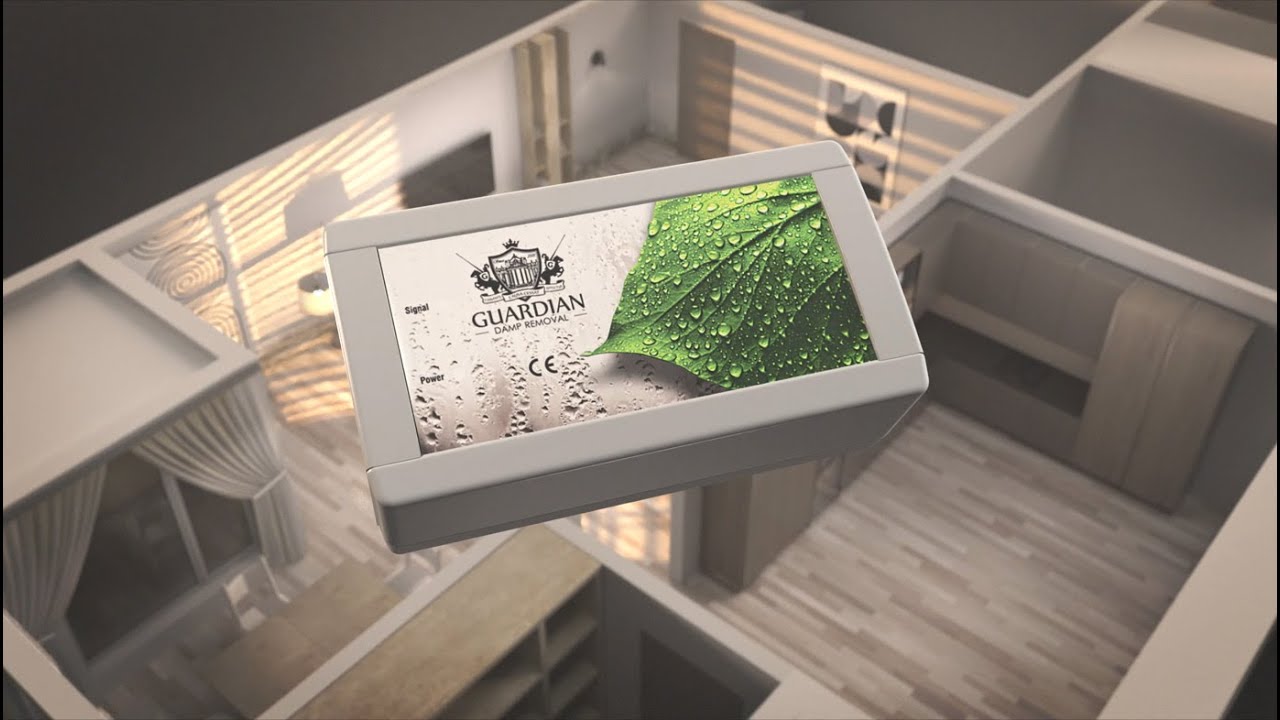 GUARDIAN damp removal CA