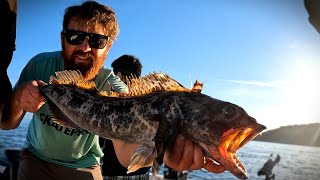 Catching Salmon + Lingcod + Rockfish in the New Boat!