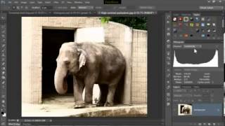 Bangla Photoshop Tuto 16 Histogram