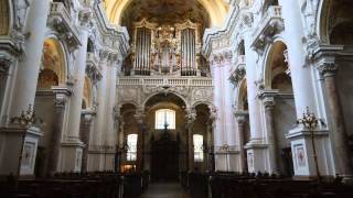 Anton Bruckner - Vorspiel in d, WAB 130 (Luca Massaglia, organ)