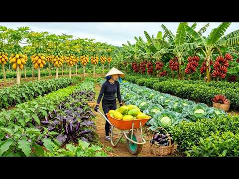 Harvest, Sell, Cook With Yellow Papayas, Eggplants, Baby Cabbage, Red Bananas, Tea Leaves - Farming