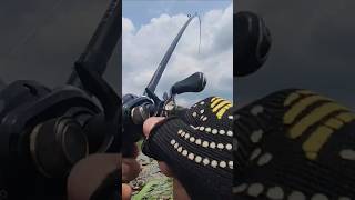 Solo fishing #fishing #adventure #cooking #camping #adventure