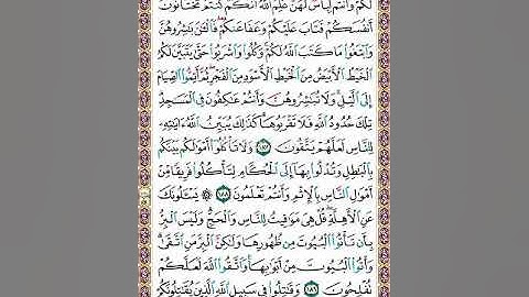 تلاوة سورة البقرة | الصفحة 29 | " هُنَّ لِباسٌ لَّكم وأنتم لباسٌ لَهُنَّ " |