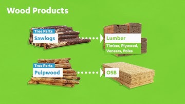 Forest Proud - Forest Supply Chain