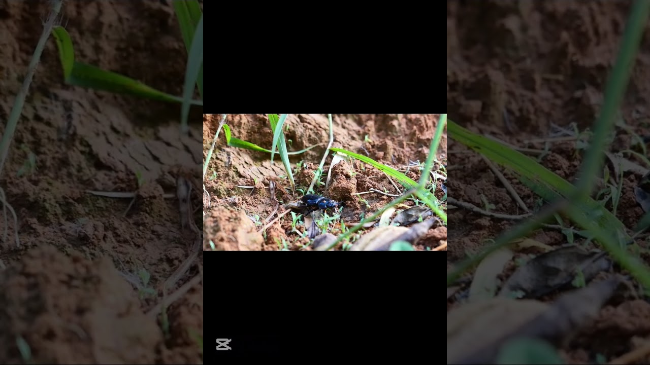 வியாபாரதில் நல்லது எது?கெட்டது எது?