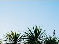 Anxiety Meditation