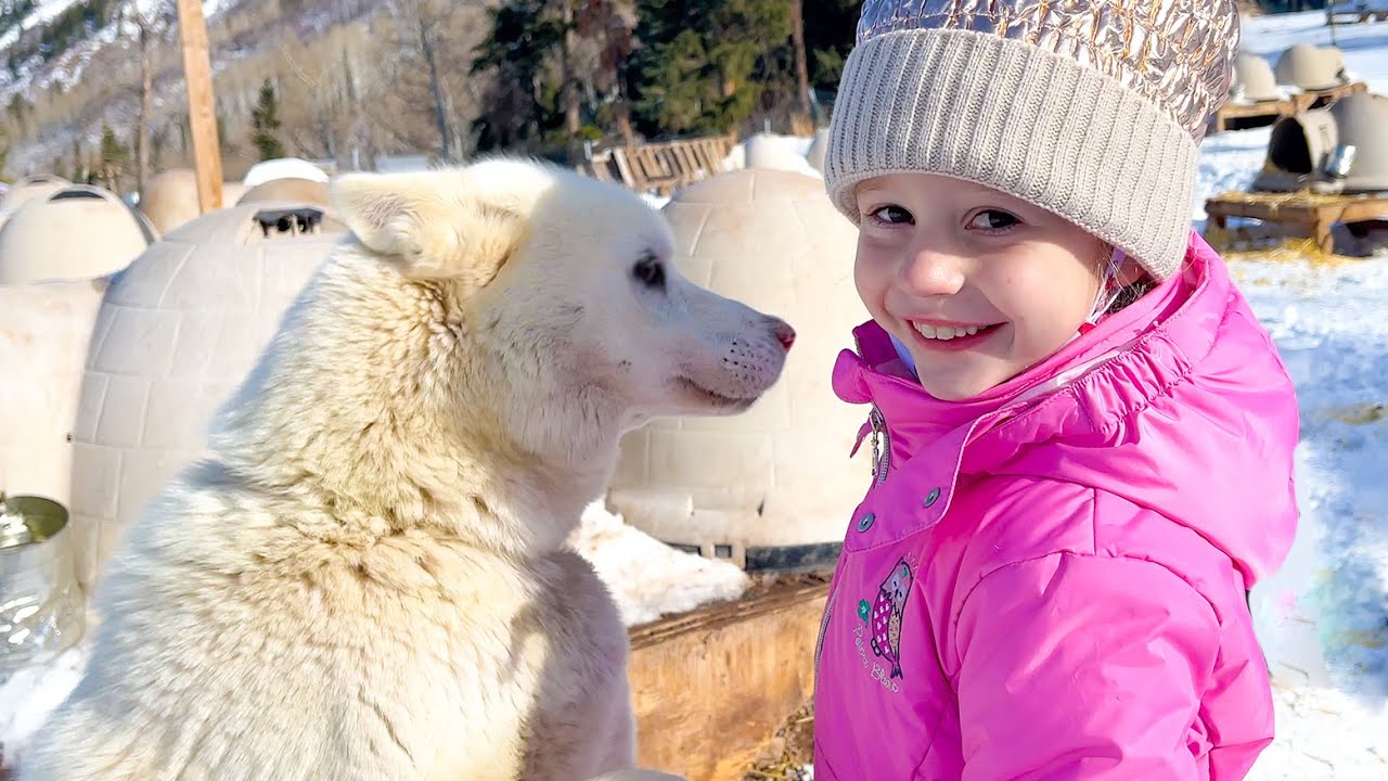 Nastya and Dad in a New Year's story about a family trip