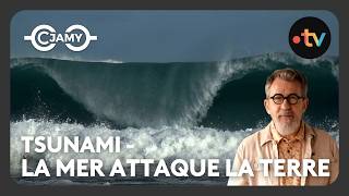 Tsunamis : les secrets des raz-de-marée révélés ! - C Jamy